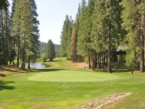 895 Meadow Dr, Arnold, CA 95223 photo 10