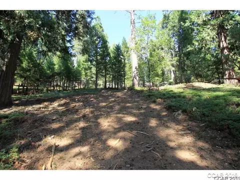 2010 Jerrilynn Dr, Arnold, CA 95223 photo 2