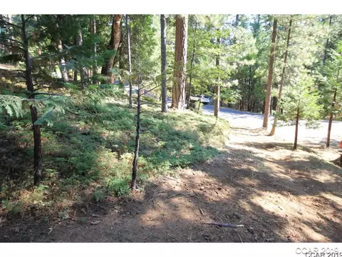 2010 Jerrilynn Dr, Arnold, CA 95223 photo 4