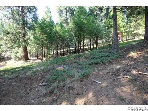 2010 Jerrilynn Dr, Arnold, CA 95223 photo 3
