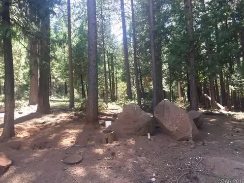 3855 Tree, West Point, CA 95255 photo 5