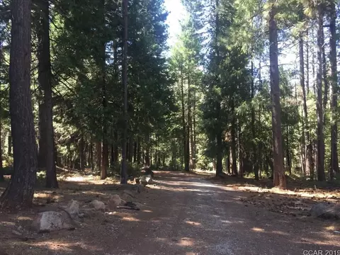 3855 Tree, West Point, CA 95255 photo 6