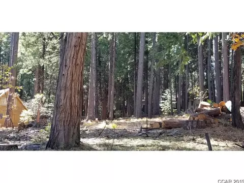2078 Fairway Dr, Arnold, CA 95223 photo 1