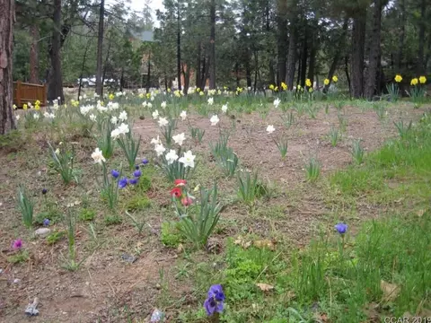 1989 Choctaw Dr, Dorrington, CA 95223 photo 36