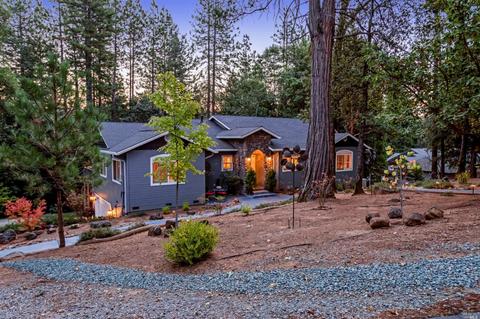 14050 Pine Park Loop, Pine Grove, CA 95665 photo 1