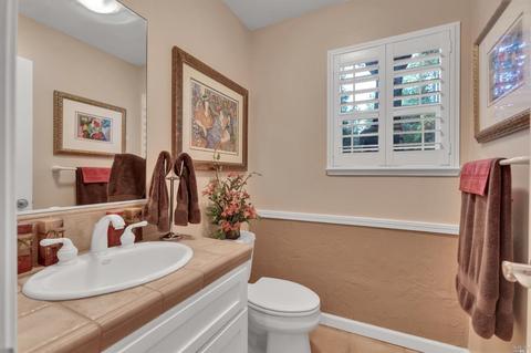 14050 Pine Park Loop, Pine Grove, CA 95665 photo 46