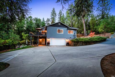 14050 Pine Park Loop, Pine Grove, CA 95665 photo 4