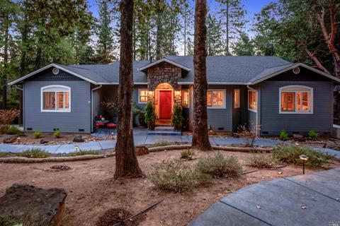 14050 Pine Park Loop, Pine Grove, CA 95665 photo 3