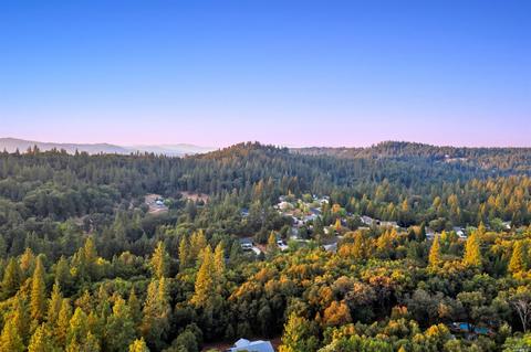 14050 Pine Park Loop, Pine Grove, CA 95665 photo 50