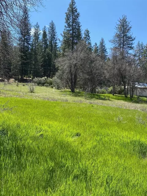 4400 Meadow View Rd, Murphys, CA 95247 photo 2