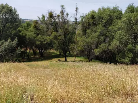 15732 Butte Mountain Rd, Jackson, CA 95642 photo 19