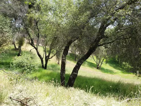 15732 Butte Mountain Rd, Jackson, CA 95642 photo 16