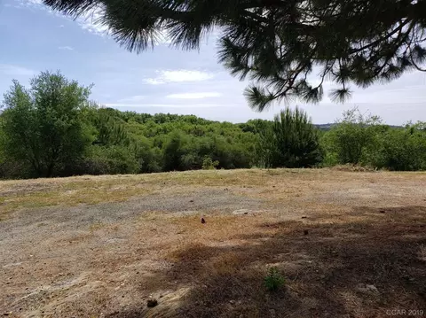 15732 Butte Mountain Rd, Jackson, CA 95642 photo 22