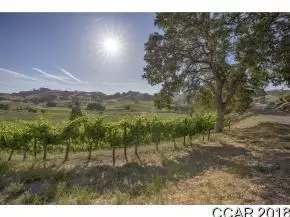8330 Airola Rd, Vallecito, CA 95222 photo 5