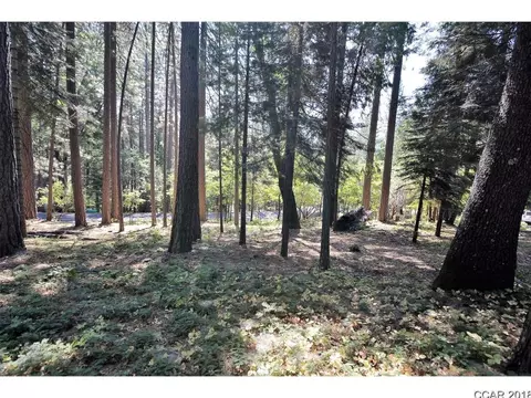 658 Moran Rd, Arnold, CA 95223 photo 3