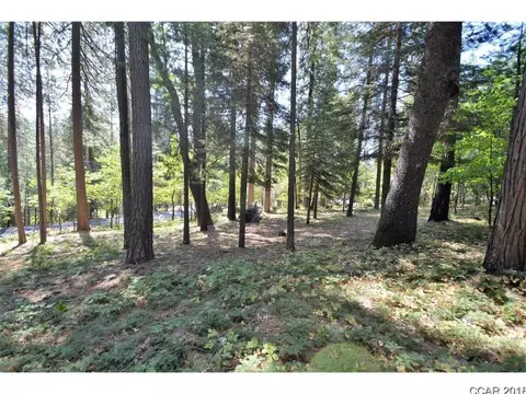 658 Moran Rd, Arnold, CA 95223 photo 1
