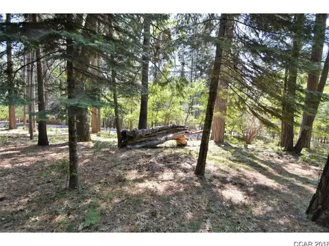 658 Moran Rd, Arnold, CA 95223 photo 7