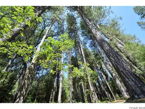 658 Moran Rd, Arnold, CA 95223 photo 2