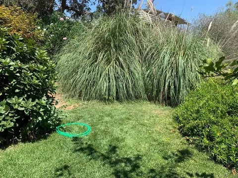 370 Thomson Ln, Copperopolis, CA 95228 photo 53