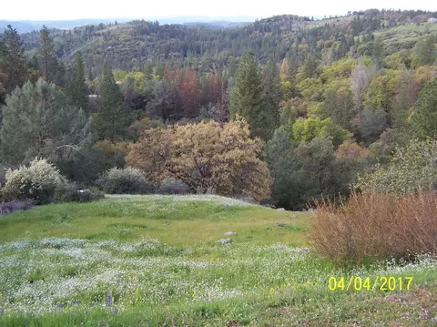 1050 Laurel Ln, Murphys, CA 95247 photo 2