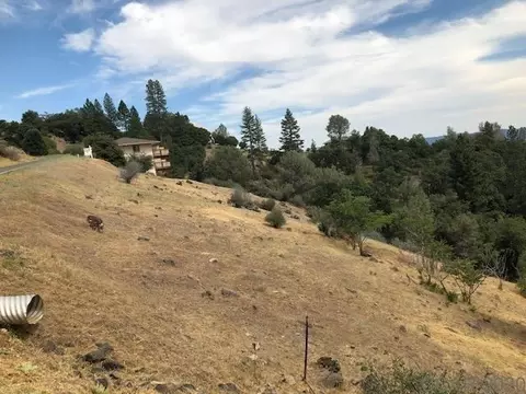 1050 Laurel Ln, Murphys, CA 95247 photo 4