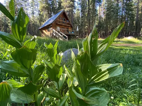24 Silvertip Dr, Arnold, CA 95223 photo 1