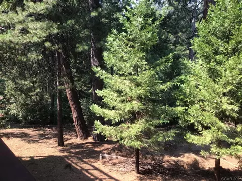 3070 Dalmatia, Arnold, CA 95223 photo 22