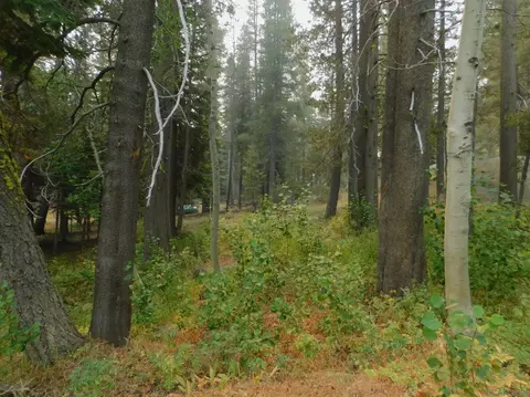 9 Monte Wolf, Bear Valley, CA 95223 photo 2