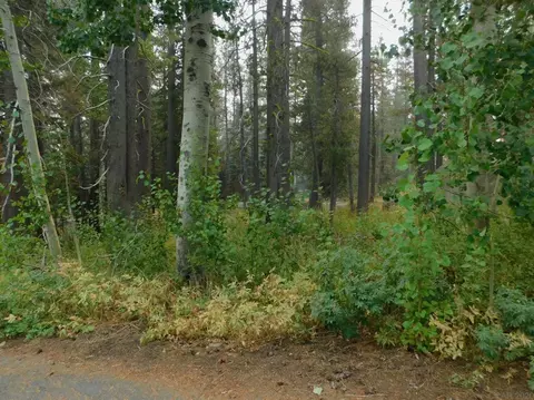 9 Monte Wolf, Bear Valley, CA 95223 photo 1