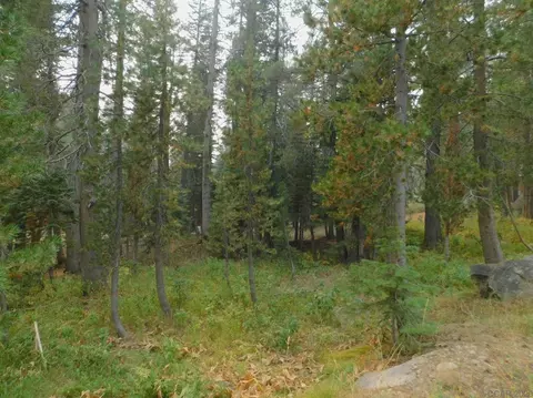 9 Monte Wolf, Bear Valley, CA 95223 photo 3
