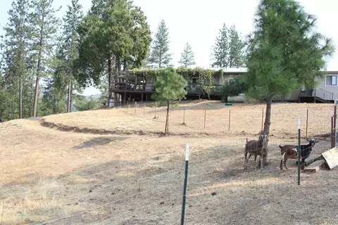 7074 Old Gulch Rd, Mountain Ranch, CA 95246 photo 29