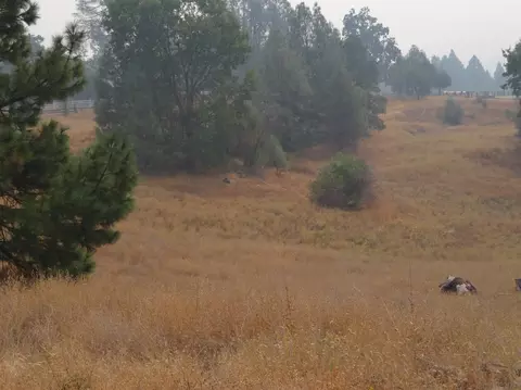4902 E Old Emigrant Trl, Mountain Ranch, CA 95246 photo 5