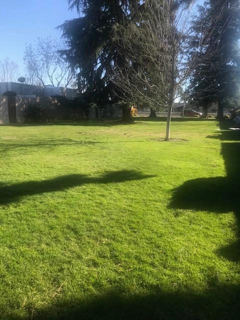 820 Murphy Dr, Turlock, CA 95380 photo 9