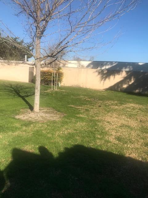 820 Murphy Dr, Turlock, CA 95380 photo 7