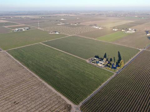 21343 N Devries Rd, Lodi, CA 95242 photo 43