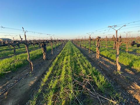 21343 N Devries Rd, Lodi, CA 95242 photo 46