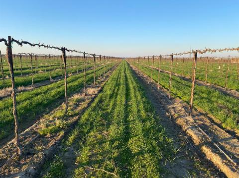 21343 N Devries Rd, Lodi, CA 95242 photo 45