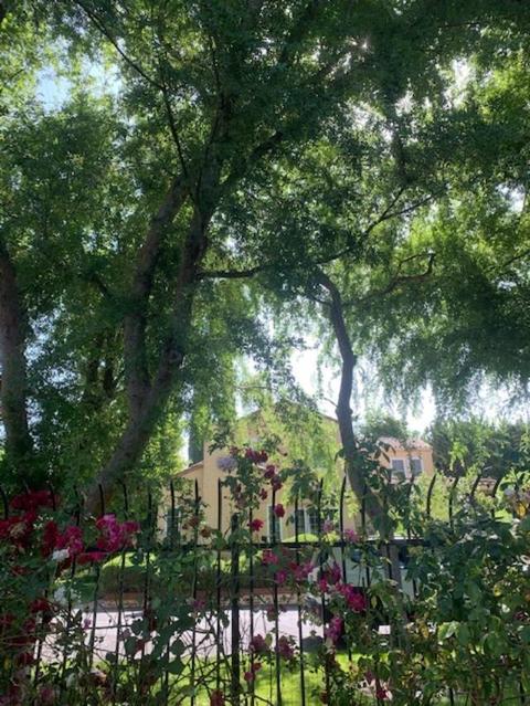 Undisclosed, Linden, CA 95236 photo 8