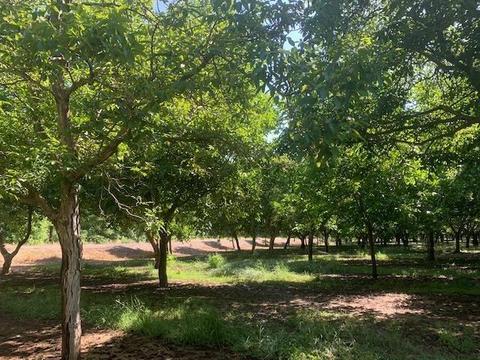 Undisclosed, Linden, CA 95236 photo 75
