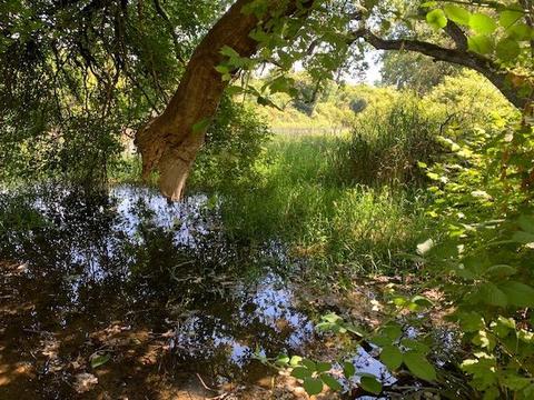 Undisclosed, Linden, CA 95236 photo 86