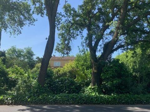 Undisclosed, Linden, CA 95236 photo 13