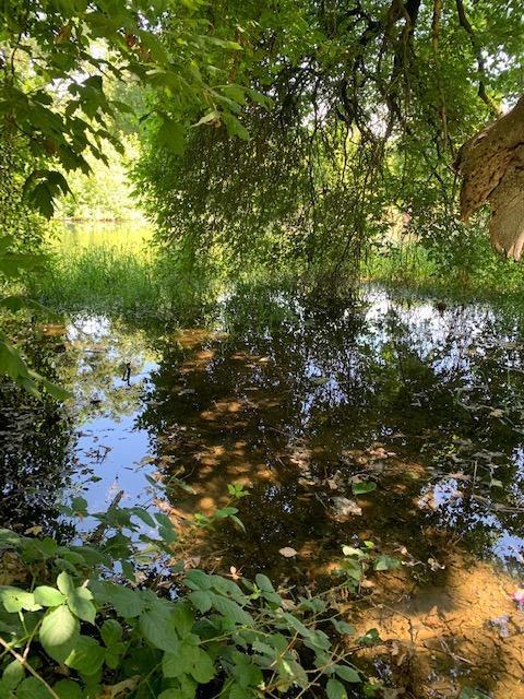 Undisclosed, Linden, CA 95236 photo 81