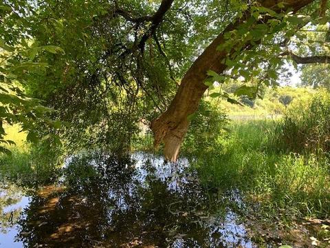 Undisclosed, Linden, CA 95236 photo 84