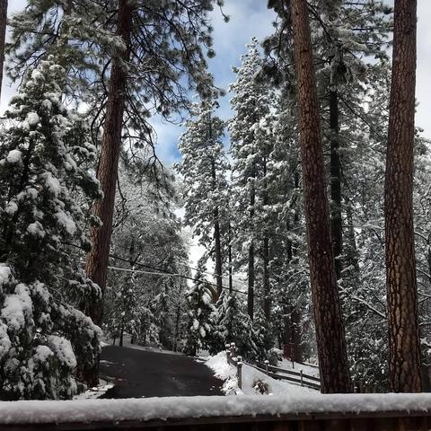 21427 Crystal Falls Dr, Sonora, CA 95370 photo 47