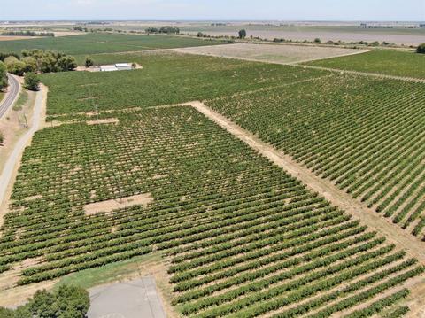 15511 Isleton Rd, Isleton, CA 95641 photo 5