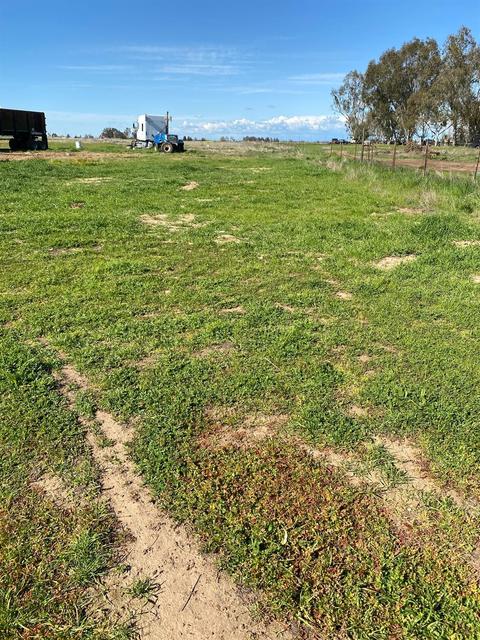 8760 Base Line Rd, Elverta, CA 95626 photo 19