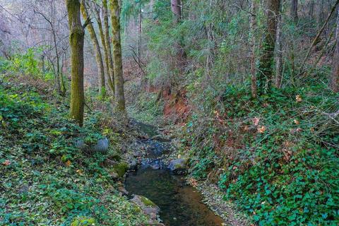 11497 E Bennett Rd, Grass Valley, CA 95945 photo 2