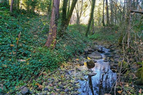 11497 E Bennett Rd, Grass Valley, CA 95945 photo 44