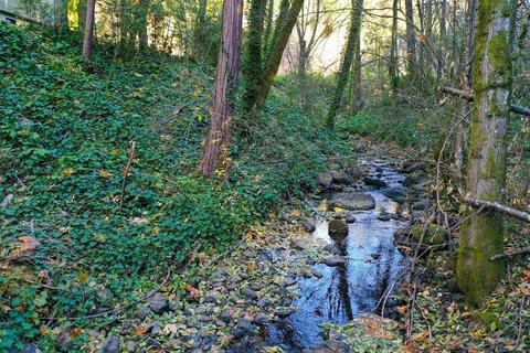 11497 E Bennett Rd, Grass Valley, CA 95945 photo 46