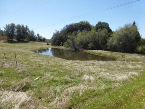 3160 Nugget Dr, Placerville, CA 95667 photo 43